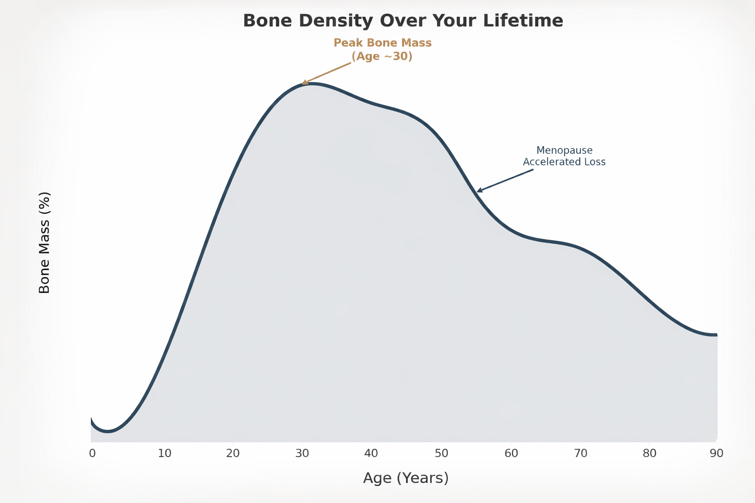 Bone density changes over time